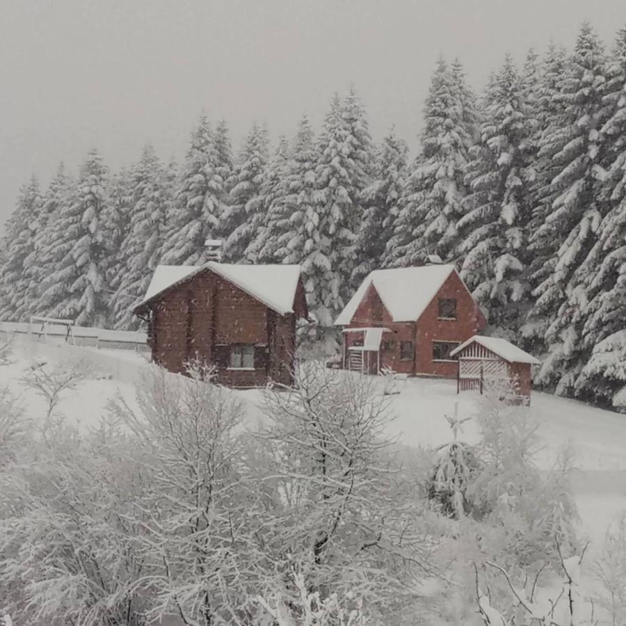 Sadyba Drymba Skhidnytsia Extérieur photo