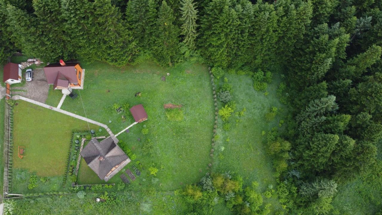 Sadyba Drymba Skhidnytsia Extérieur photo