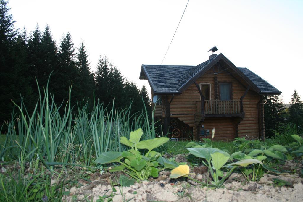 Sadyba Drymba Skhidnytsia Extérieur photo