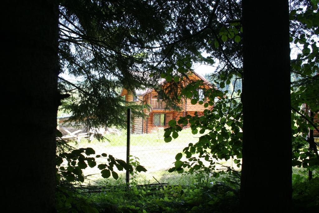 Sadyba Drymba Skhidnytsia Extérieur photo