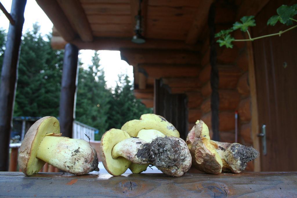 Sadyba Drymba Skhidnytsia Extérieur photo